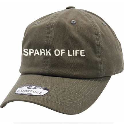 Spark of Life Logo Dad Hat in Black